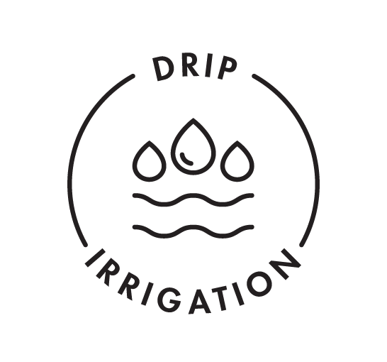 drip irrigation