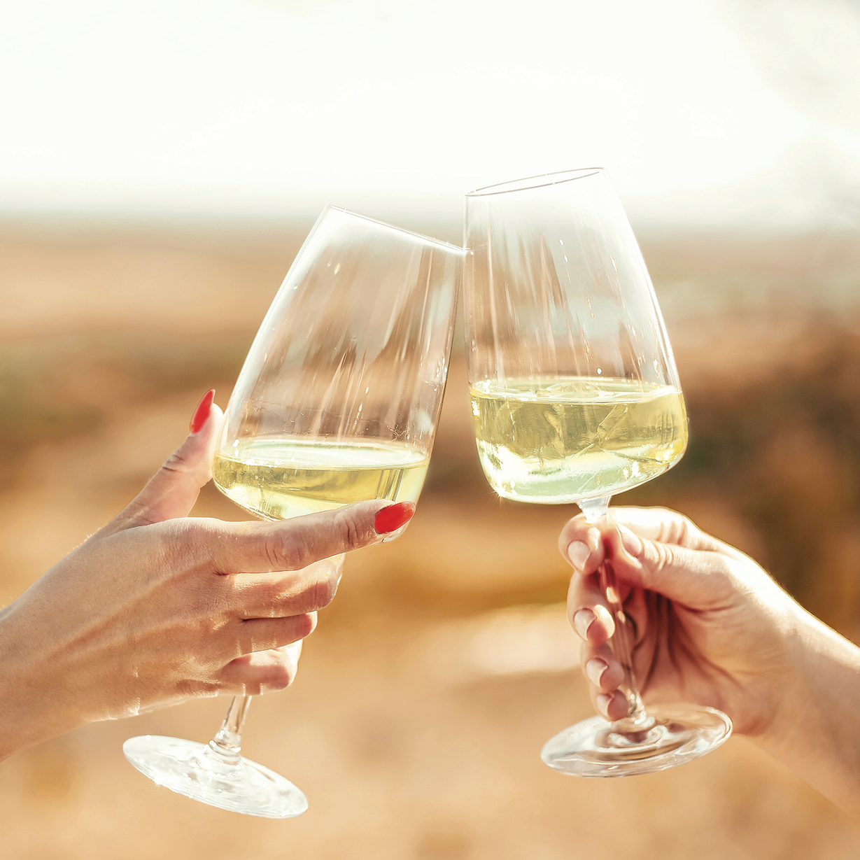 La Terra Wines